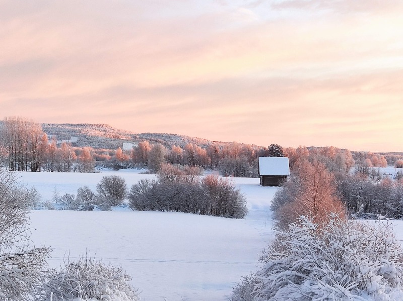 Winter view in Torne Valley - foto by Kai Metsävainio